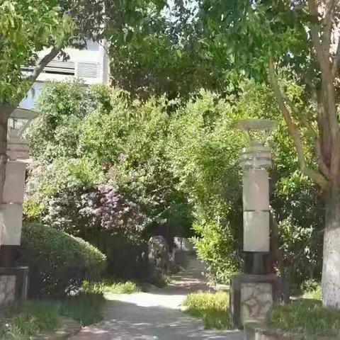 思念果岭一期睦府洋房2025年9月份物业服务工作汇报