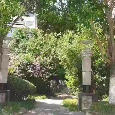 思念果岭一期睦府洋房2025年10月份物业服务工作汇报