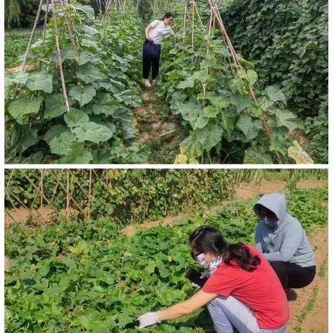 长清区农安监管一周综述