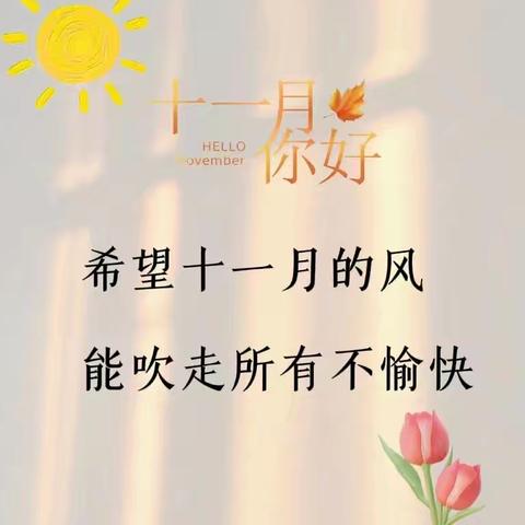 2024年十一月工作总结——杨店小学六年级