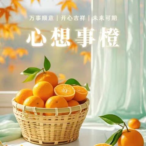 2024年十二月工作总结——杨店小学六年级