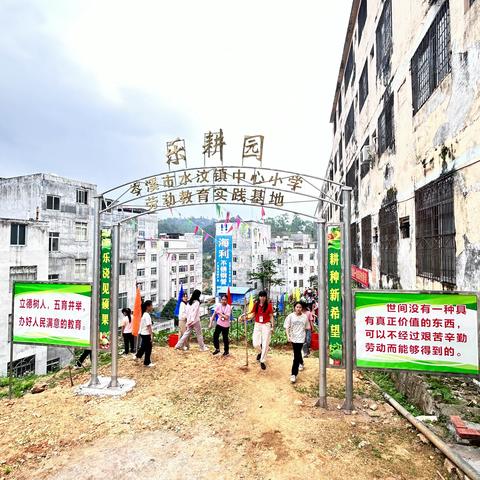 岑溪市水汶镇中心小学“乐耕园”劳动教育实践基地开园仪式暨开耕活动