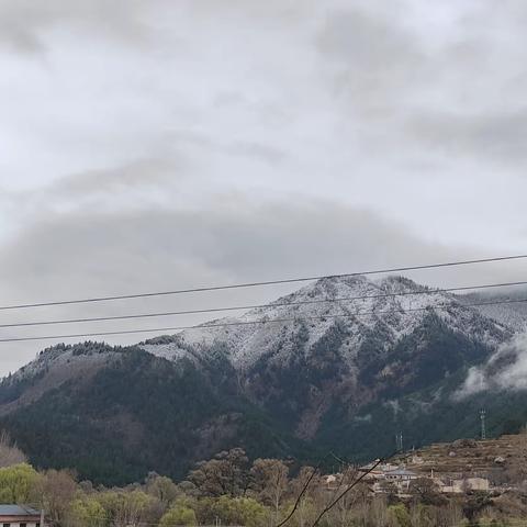 迭部生态建设管护中心4月5日降雪情况