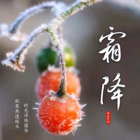创璟物业万峰苑服务中心10月份工作汇报