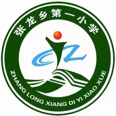 立足教学教研，引领师生成长—-张龙乡第一小学教研示范校观摩督导