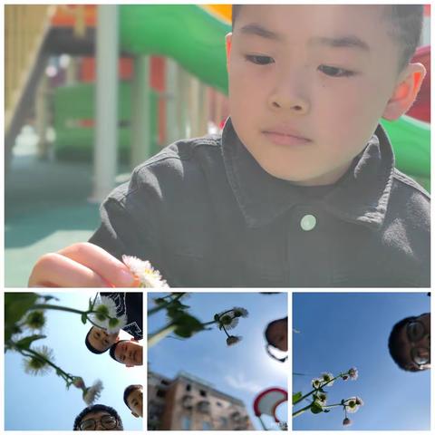 香港成才国际幼儿园大五班第十四周活动回顾及下周活动预告