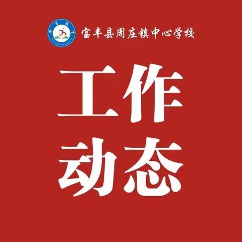 宝丰县周庄镇中心校第四周工作动态