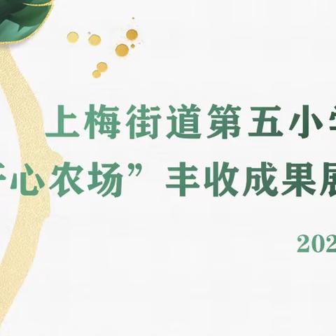 上梅街道第五小学开心农场丰收成果展示会