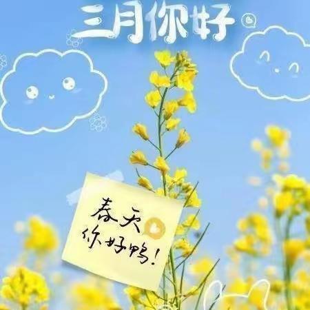 🌸人间三月芳菲艳🌸﻿🌳不负春光与时行🌳