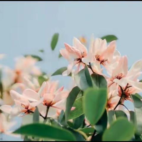 爱在四月，见证成长﻿——🌸花仙子三班🌸四月份精彩回顾