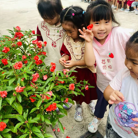 【 指尖花落 • 从爱出发 】——商水县纬三路幼儿园中三班生活课程