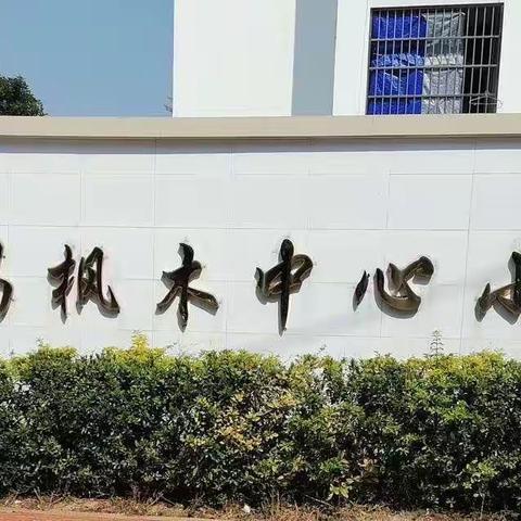 聚焦单元整体  淬炼单元教研 —枫木中心小学数学课题研究活动