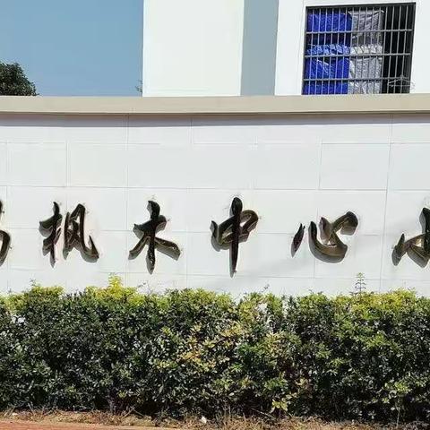 守护花季，护航成长——枫木中心小学预防性侵害安全知识讲座（女生专场） ‍ ‍ ‍ ‍ ‍