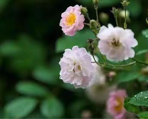 四月再见，五月你好！