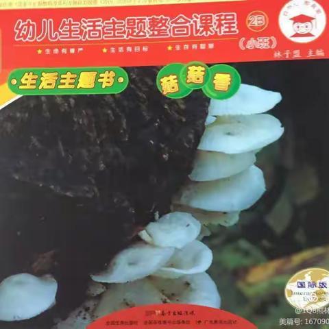 【艺智幼儿园】～自然心教育爱•小班主题活动《菇菇香》致家长的一封信