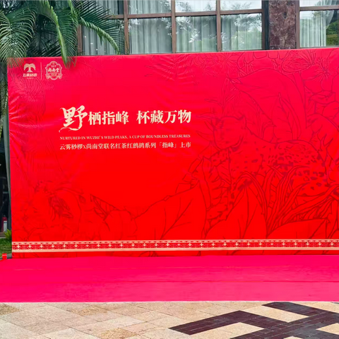 檀溪小区联合毛道乡黎族植物染藤编艺术展 ‍雨林桫椤&尚南堂签约仪式