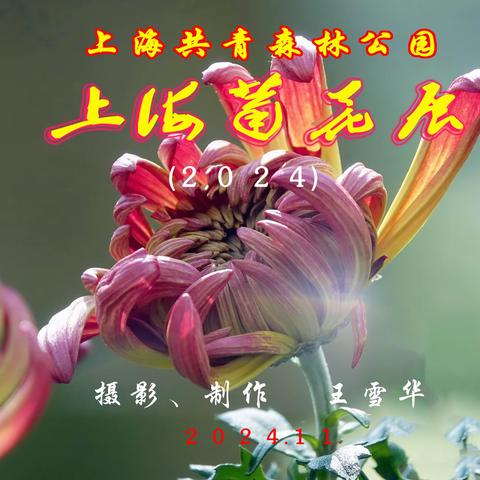 老顽童的文章