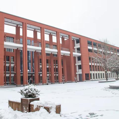 清障除雪，党员在行动——徐州市第三十二中学党员教师扫雪除冰情暖校园