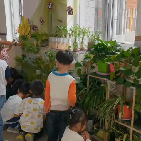 活动缘起