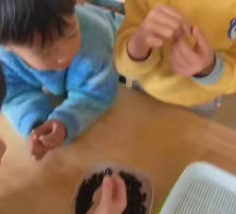 水培