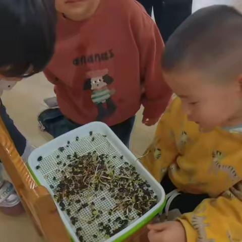 枯萎的启示