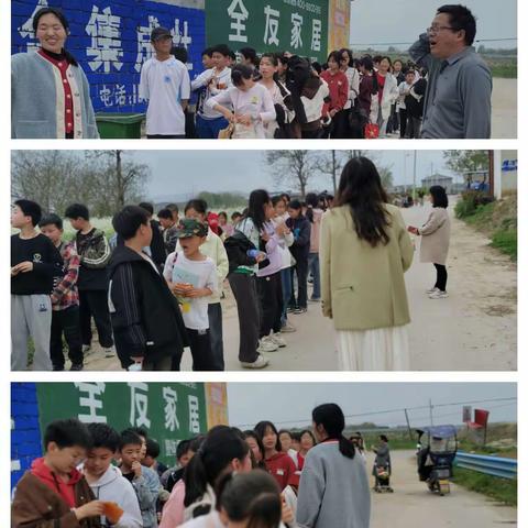 趁花开，趣踏青