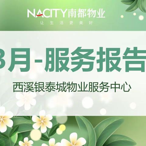 3月服务报告