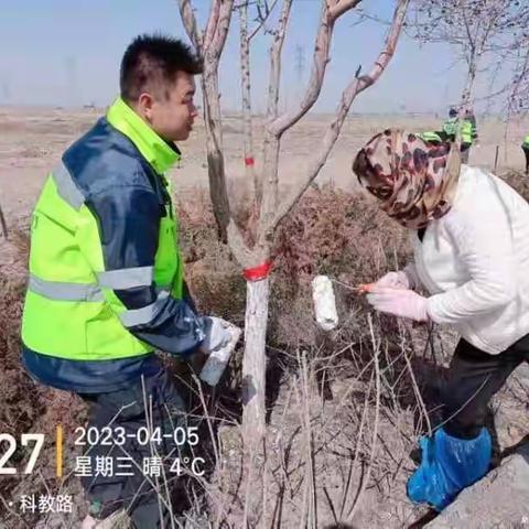 张辉的简篇