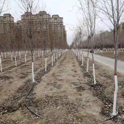 张辉的简篇