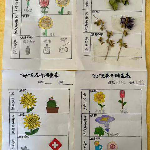 5月份主题课程 《幼见花开》