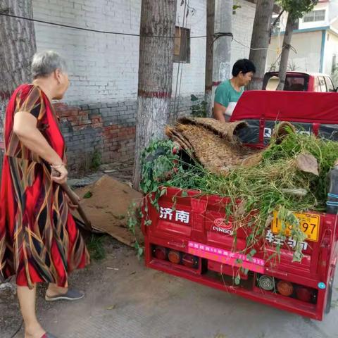 美化家园   人人有责