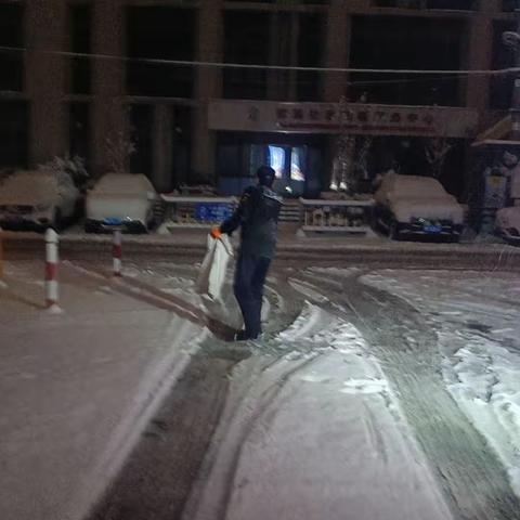 雪落城投·静悦府