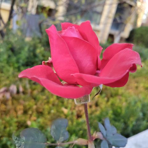 听故事，涨智慧