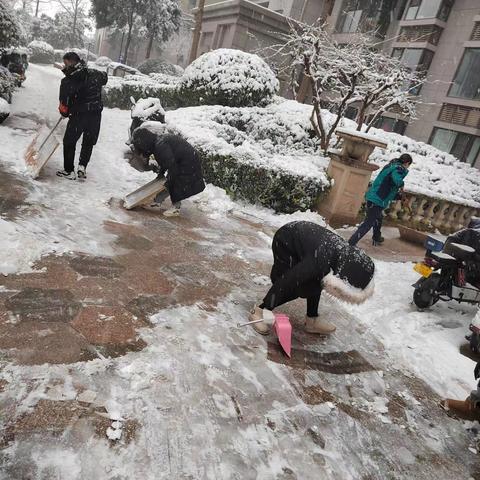 【红色等驾坡】瑞雪飘满院 除雪护安全——暖山社区除雪行动