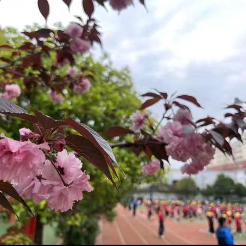 🌈甘岸新星幼儿园💒叶子班铭一和铭志宝贝精彩回顾✨