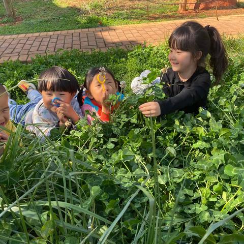 【寻春日印记，揽芳华温暖】——匡远第一幼儿园里的自然教育