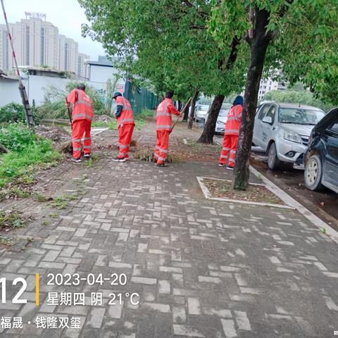 【福龙马】迎峰会、抓竞赛、高品质提升环境卫生水平-福龙马在行动（2023年4月20日）