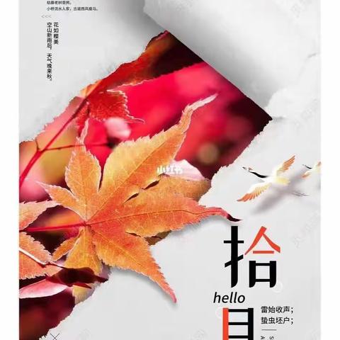 中诚物业·东城绿洲2023年10月物业工作简报呈现与您，请您查收！