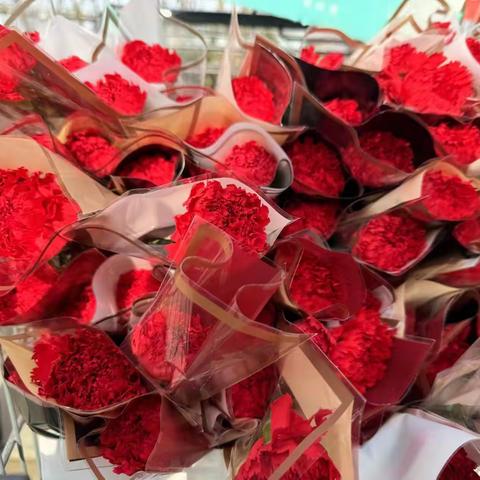 玫瑰苑物业3月份工作服务简报