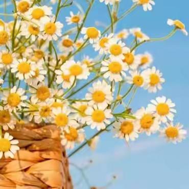 玫瑰苑物业4月份工作服务简报