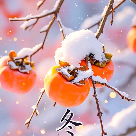 玫瑰苑物业十二月份 工作服务简报