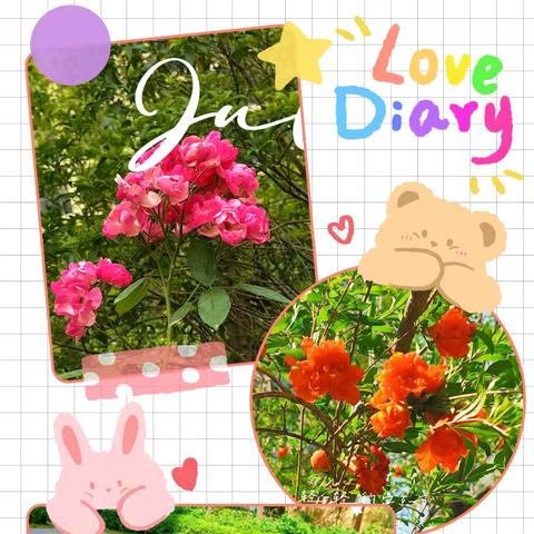 玫瑰苑物业五月份工作简报