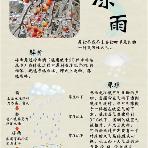 冻雨返场，这份安全提示请查收 ————栗林幼儿园温馨提示