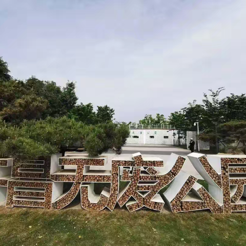 让城市无废，让生活更美---许昌市文化街小学三（3）班雏鹰小队活动