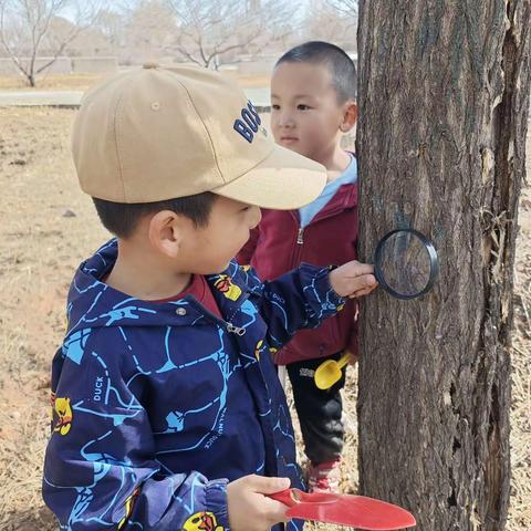 第九幼儿园中二班“暖阳三月 寻觅春迹”趣野日活动