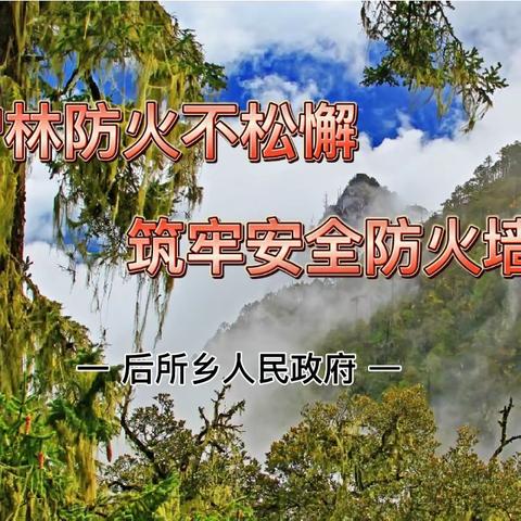 后所乡党委书记仁青扎西深入西香高速各个施工点督导检查护林防火工作