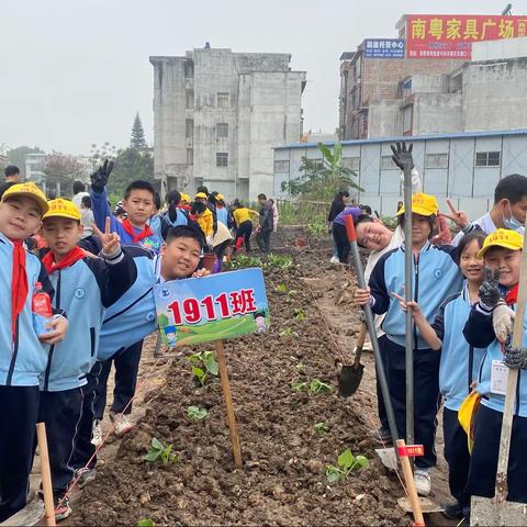 我劳动 我快乐—宾阳县和宾彰泰小学1911班劳动基地种植活动