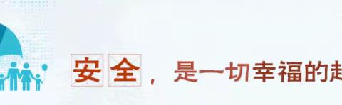 夏季防溺水，安全伴我行 大西韩小学防溺水安全宣传教育