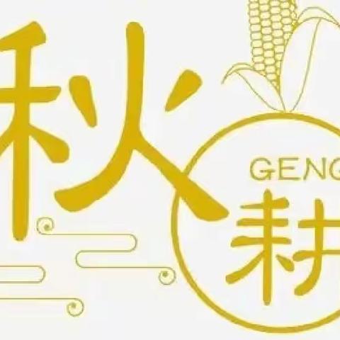 秋耕正当时，播种新希望——文峰小学三年级（1）班劳动实践基地活动纪实