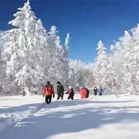 1月12-13-14日老里克湖~新魔界~雪岭三日豪华嬉雪品质游